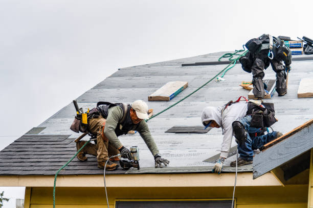 Professional Roofing technician working in Weems, VA