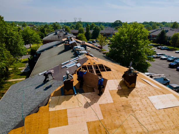 Trusted Roof Installation service in Weems, VA - Brentwood Metal Roofing